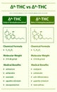 Ã¢Ëâ 8-THC vs Ã¢Ëâ 9-THC, Delta 8 Tetrahydrocannabinol vs Delta 9 Tetrahydrocannabinol, vertical infographic